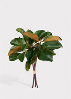 Artificial Magnolia 3-Stem Bundle - 18"