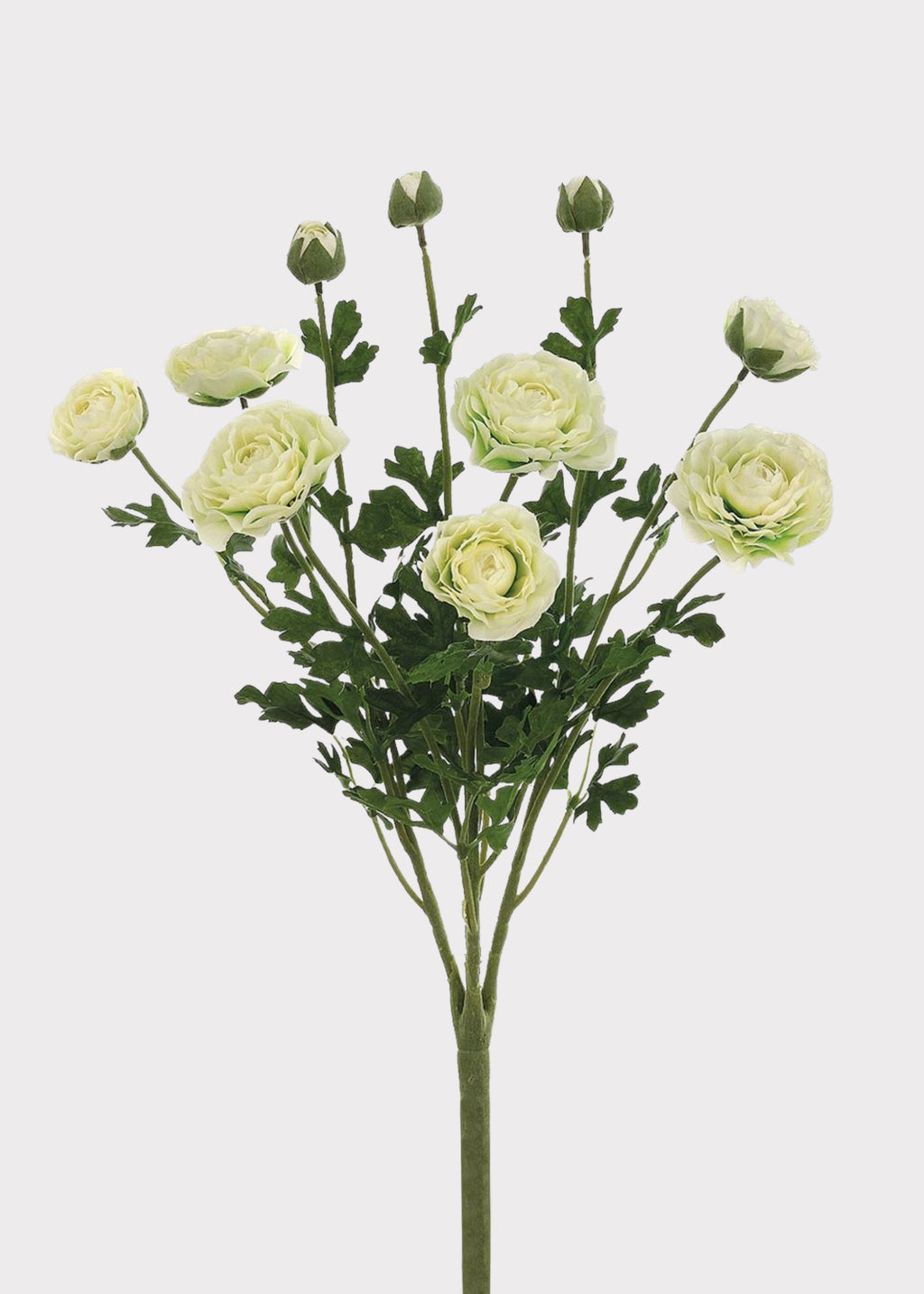 Artificial Ranunculus Flower Bush in Cream - 19"