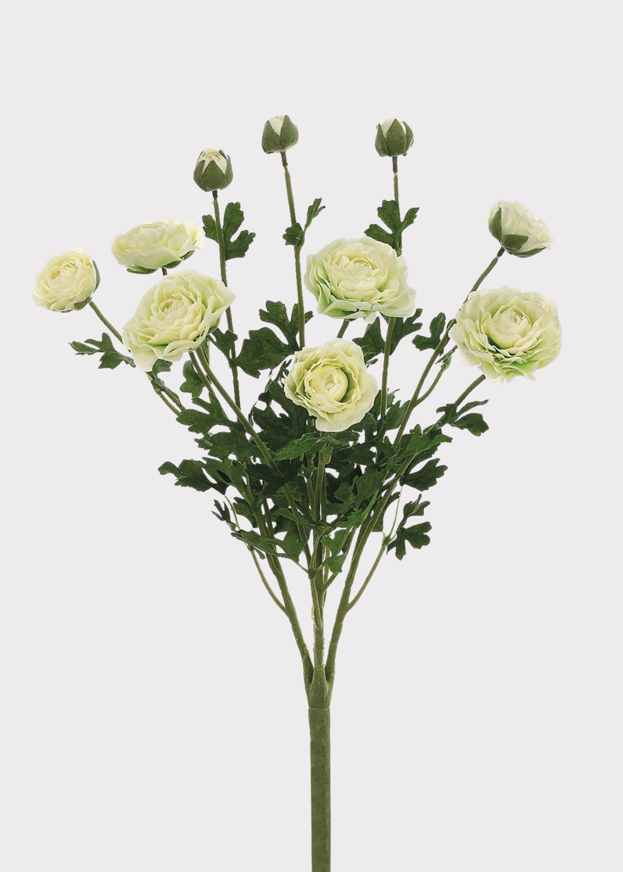 Artificial Ranunculus Flower Bush in Cream - 19"