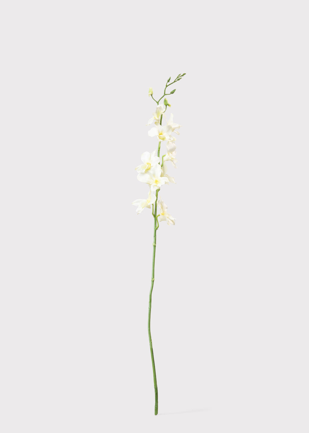 Cream Artificial Dendrobium Orchid Flower Branch - 35.5"